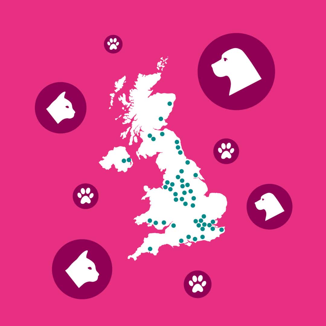 PDSA – Charity Of The Year